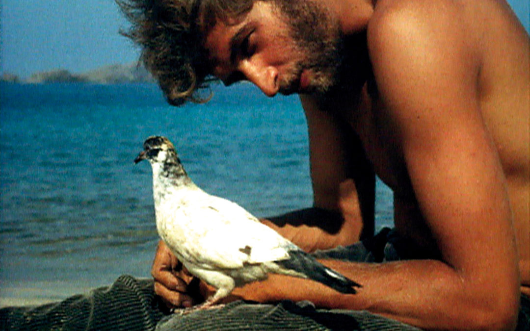 Pollet Jean-Daniel